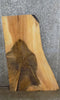 Thumbnail for Live Edge Salvaged Ash Wood Slab, Coffee Table Top 40077