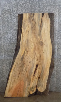 Thumbnail for Live Edge Spalted Maple End/Coffee/Accent Table Top Slab 40081