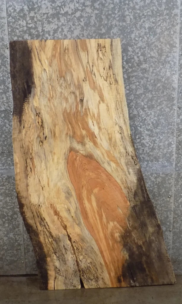 Live Edge Spalted Maple End/Coffee/Accent Table Top Slab 40081