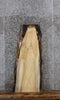 Thumbnail for Rustic Live Edge Maple Coffee Table Top Slab 40087