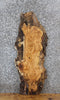 Thumbnail for Live Edge White Oak Side Table Top/Taxidermy Mount Slab 40088