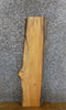 Thumbnail for Natural Edge Hackberry Rustic Live Edge Wood Slab 40089