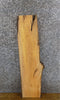 Thumbnail for Natural Edge Hackberry Rustic Live Edge Wood Slab 40089