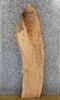 Thumbnail for Salvaged Live Edge Maple Table Top Wood Slab 40092