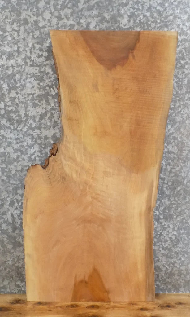 Live Edge Maple Table Top Slab, Wood Natural Edge Slab 40096