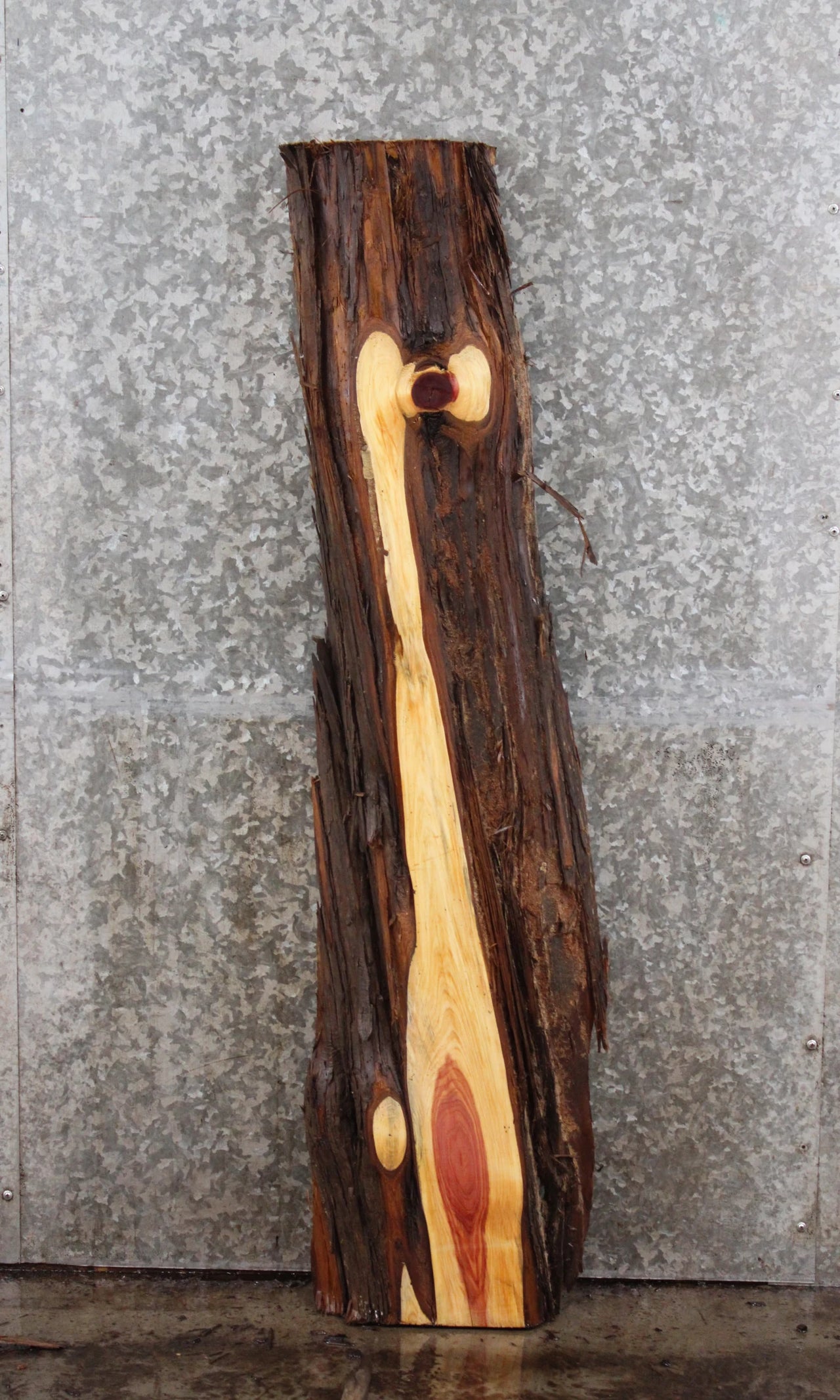 Red Cedar Live Edge Wood Slab 40102