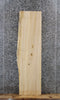 Thumbnail for Live Edge Wood Slab, Soft Maple Bench/Shelf Slab 40105