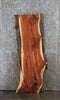 Thumbnail for Red Cedar Live Edge Coffee Table/Bench Slab 40109