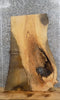 Thumbnail for Live Edge Ash Hardwood Slab, Table Top Slab 40112