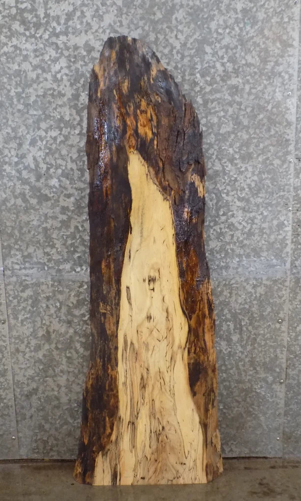 Live Edge Spalted Maple Mantle/Bar Top/Accent Table Top Slab 40114