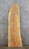 Thumbnail for Live Edge Spalted Maple Mantle/Bar Top/Accent Table Top Slab 40114