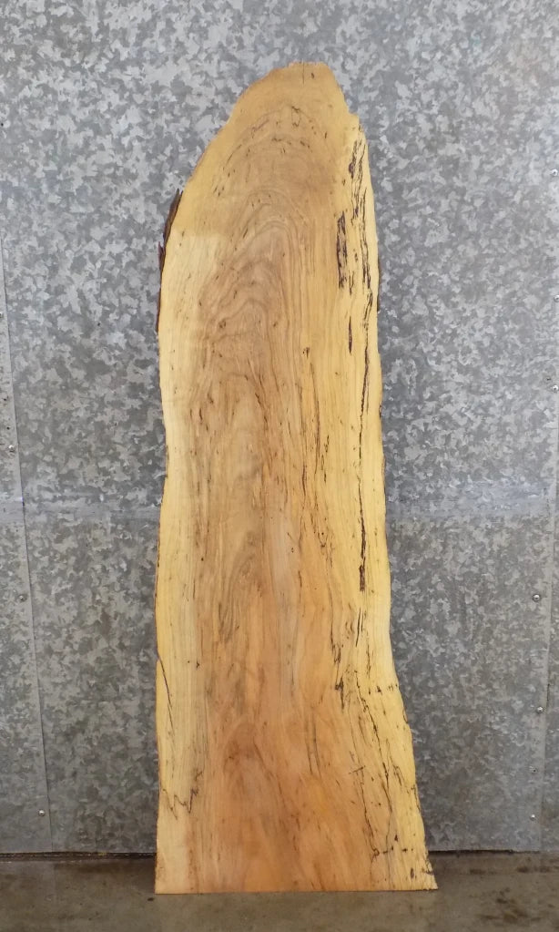 Live Edge Spalted Maple Mantle/Bar Top/Accent Table Top Slab 40114
