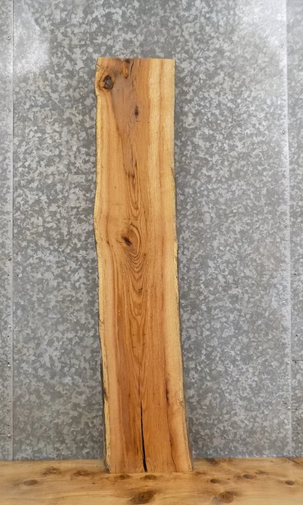 Live Edge Red Oak Wall Shelf/Mantle/Bar Top Slab 4000