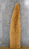 Thumbnail for Live Edge Rustic White Oak Accent/Sofa Table Top Wood Slab 40131