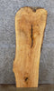 Thumbnail for Live Edge Ash Counter/Rustic Coffee Table Top Wood Slab 40133