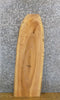 Thumbnail for Natural Edge Ash Salvaged Sofa/Side/Accent Table Top Slab 40135
