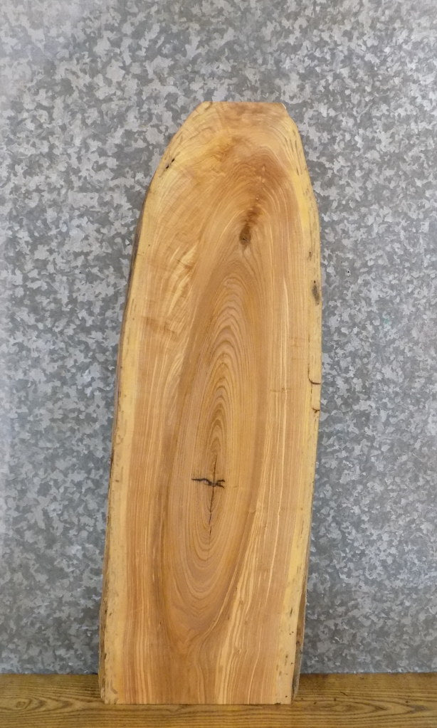 Natural Edge Ash Salvaged Sofa/Side/Accent Table Top Slab 40135