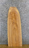 Thumbnail for Natural Edge Ash Salvaged Sofa/Side/Accent Table Top Slab 40135