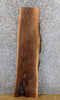 Thumbnail for Rustic Live Edge Black Walnut Sofa/Side Table Top Wood Slab 40149