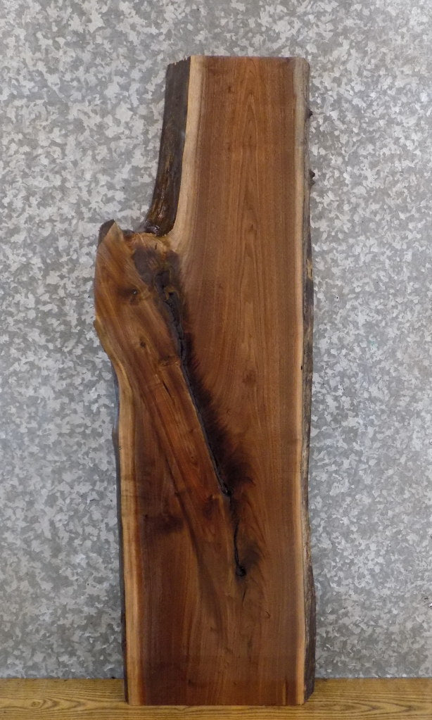 Live Edge Salvaged Black Walnut Sofa/Side Table Top Wood Slab 40153