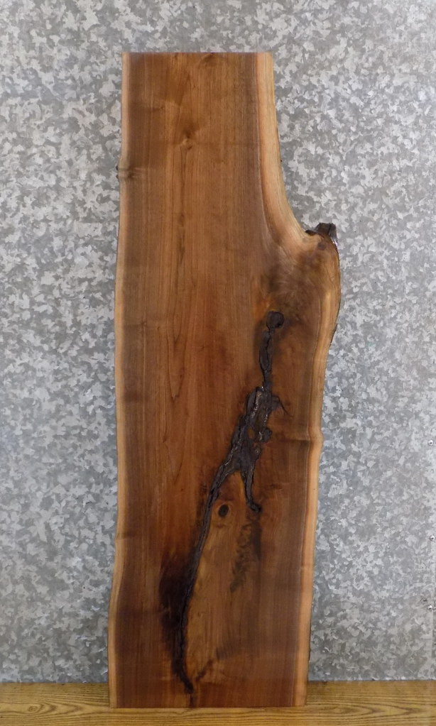 Live Edge Salvaged Black Walnut Sofa/Side Table Top Wood Slab 40153
