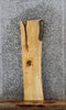 Thumbnail for Salvaged Live Edge Maple Wood Slab, Wall Shelf 40175