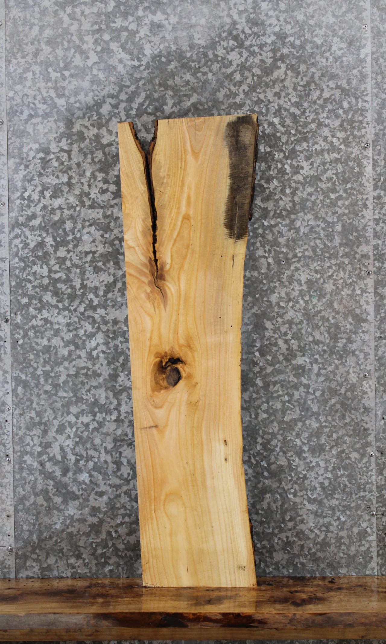 Salvaged Live Edge Maple Wood Slab, Wall Shelf 40175