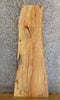 Thumbnail for Rustic Live Edge Ash Sofa/Side/Entry Table Top Wood Slab 40180