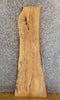 Thumbnail for Salvaged Live Edge Ash Table Top Wood Slab 40193