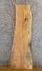Thumbnail for Salvaged Live Edge Ash Table Top Wood Slab 40193