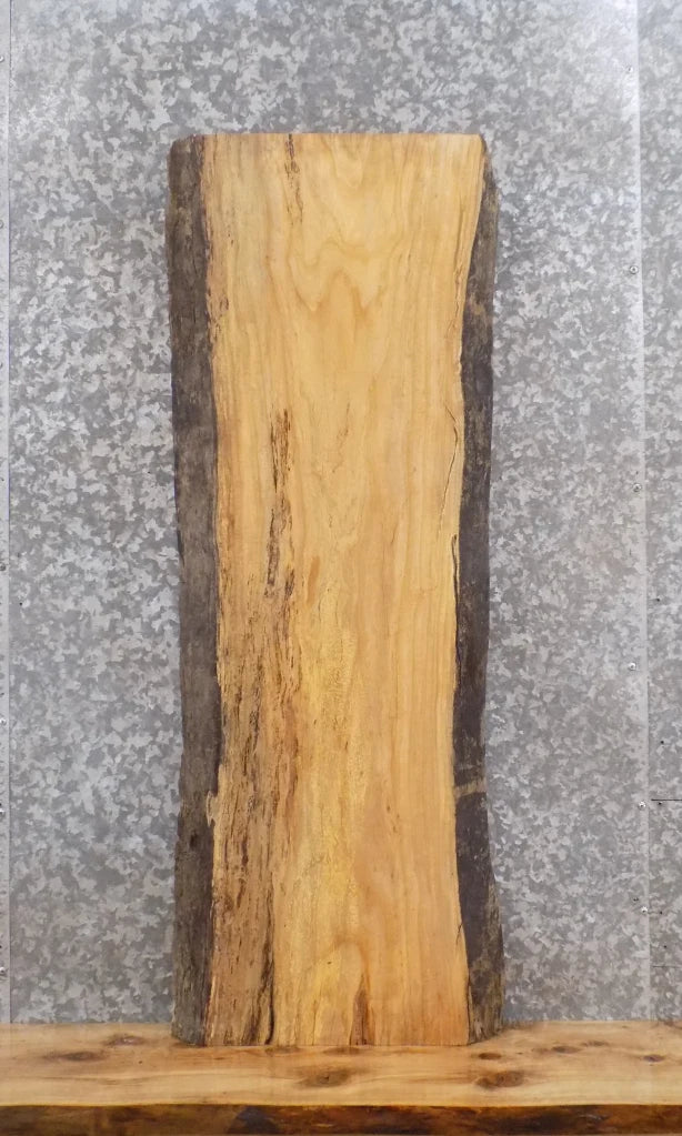 Live Edge Ash Wood Slab, Mantel, Floating Shelf 40206