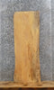 Thumbnail for Live Edge Ash Wood Slab, Mantel, Floating Shelf 40206