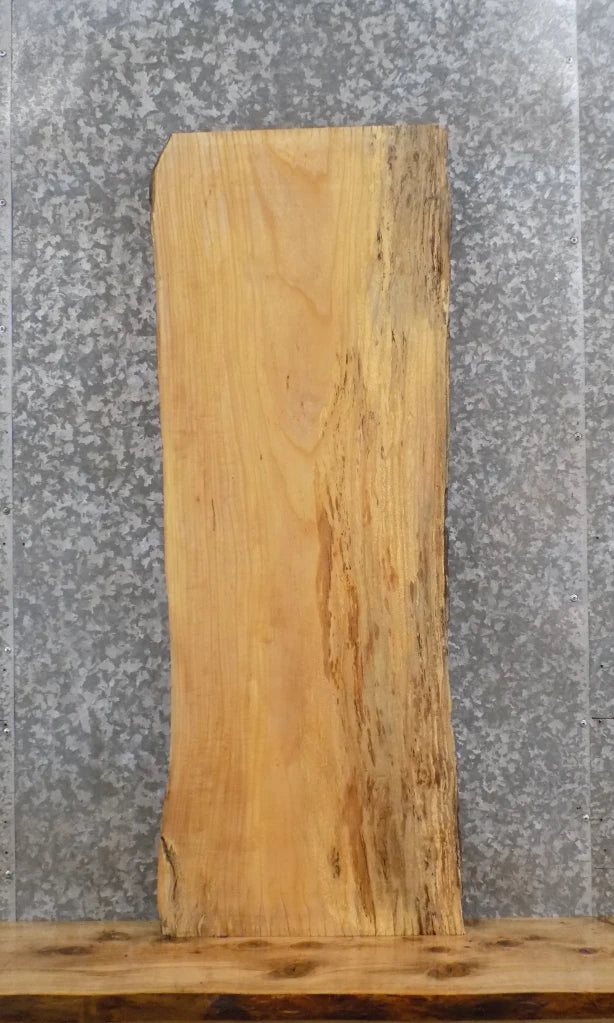 Live Edge Ash Wood Slab, Mantel, Floating Shelf 40206