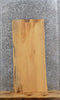 Thumbnail for Live Edge Ash Hardwood Kitchen Countertop, Bar Top Slab 40208