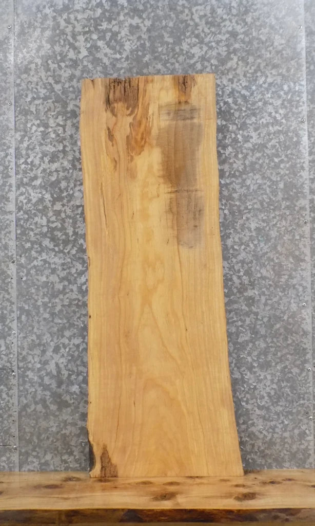 Live Edge Ash Wood Slab 40209