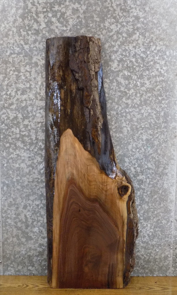 Rustic Black Walnut Live Edge Coffee/Sofa Table Top Slab 40212