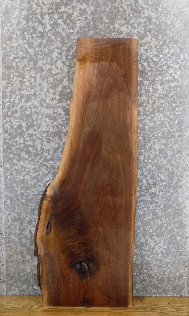 Rustic Black Walnut Live Edge Coffee/Sofa Table Top Slab 40212