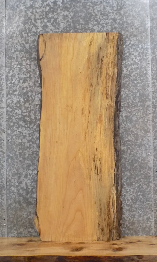 Live Edge Ash Mantel Slab, Floating Shelf 40213