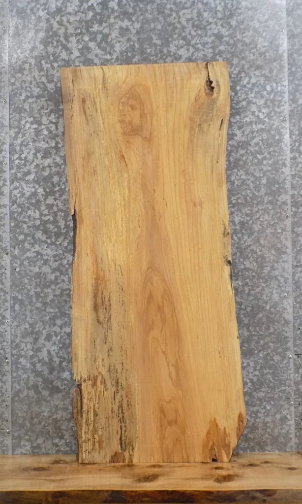 Live Edge Ash Mantel Slab, Floating Shelf 40213
