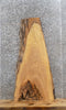 Thumbnail for Live Edge Ash Hardwood Slab 40214