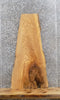 Thumbnail for Live Edge Ash Hardwood Slab 40214