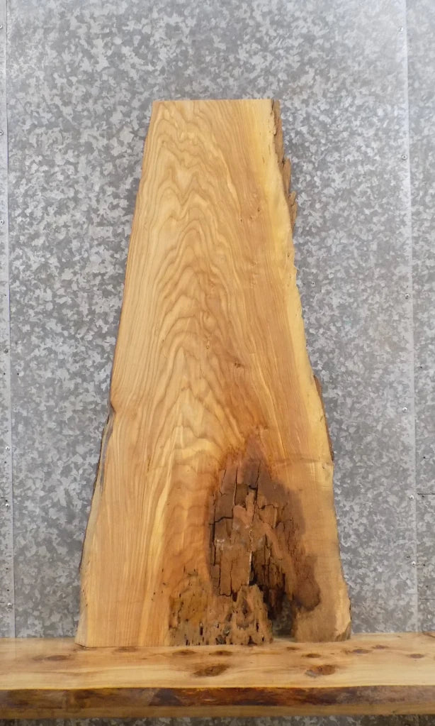 Live Edge Ash Hardwood Slab 40214