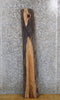 Thumbnail for Natural Edge Reclaimed Black Walnut Floating Wall Slab 40220