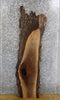 Thumbnail for Live Edge Reclaimed Black Walnut Sofa/Coffee Table Top Slab 40254