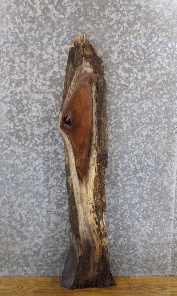Rustic Live Edge Black Walnut Accent/Entry Table Top Slab 40256