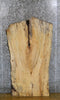Thumbnail for Live Edge Spalted Maple Coffee Table Top Wood Slab 4026