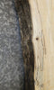 Thumbnail for Live Edge Spalted Maple Coffee Table Top Wood Slab 4026