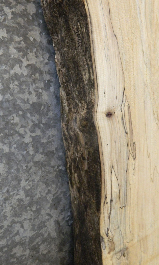Live Edge Spalted Maple Coffee Table Top Wood Slab 4026
