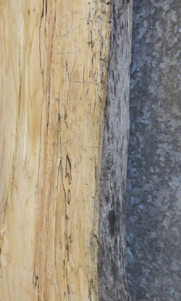 Live Edge Spalted Maple Coffee Table Top Wood Slab 4026