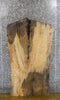 Thumbnail for Live Edge Spalted Maple Coffee Table Top Wood Slab 4026